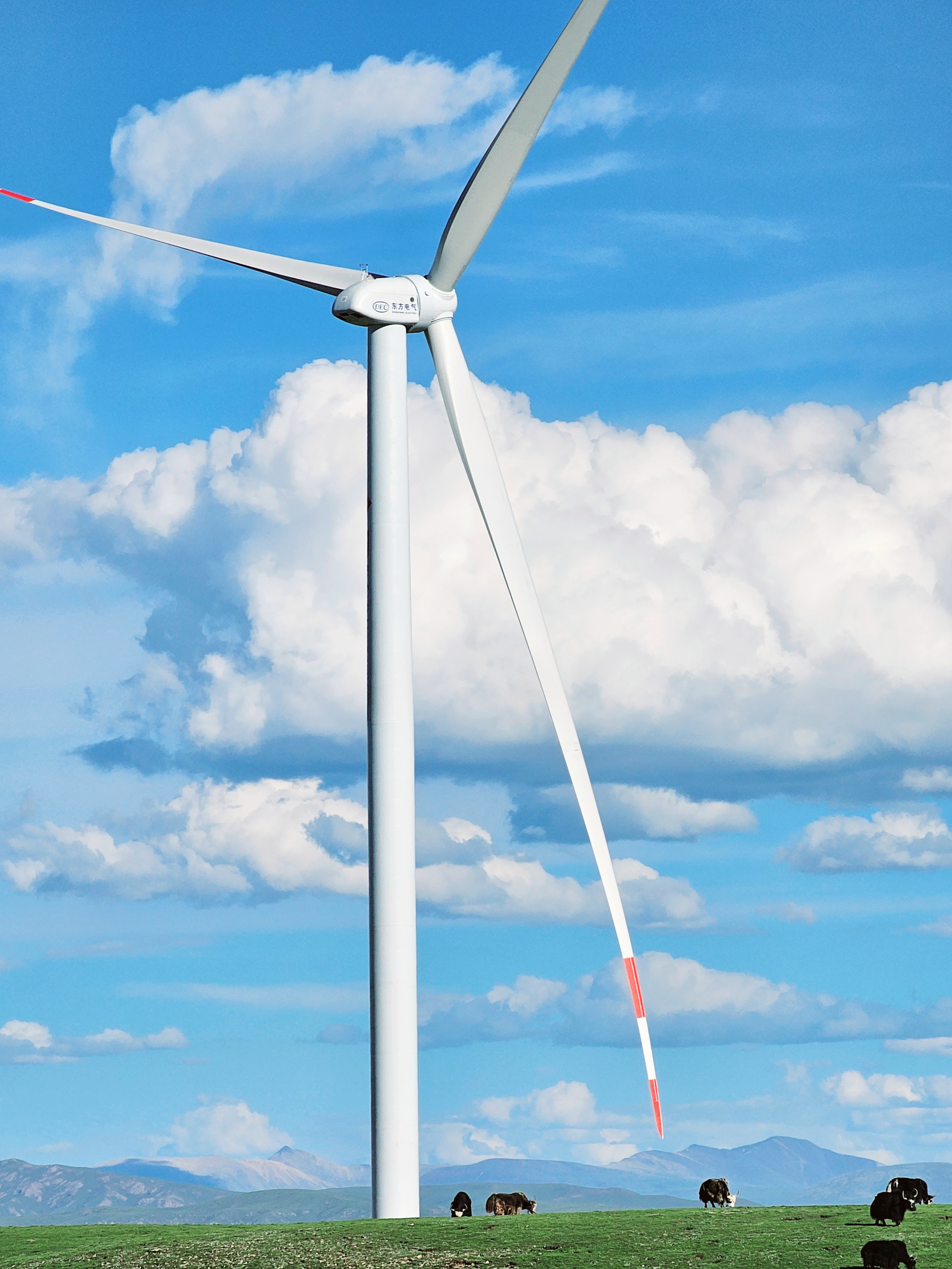 1698894070011045202.jpg 尊龙凯时 - 人生就是搏!