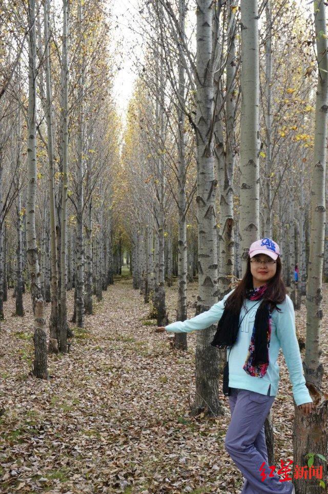 与成都，向未来 | 成都首批“产业建圈强链人才计划”入选者董娜：12年青春，同“城”发展